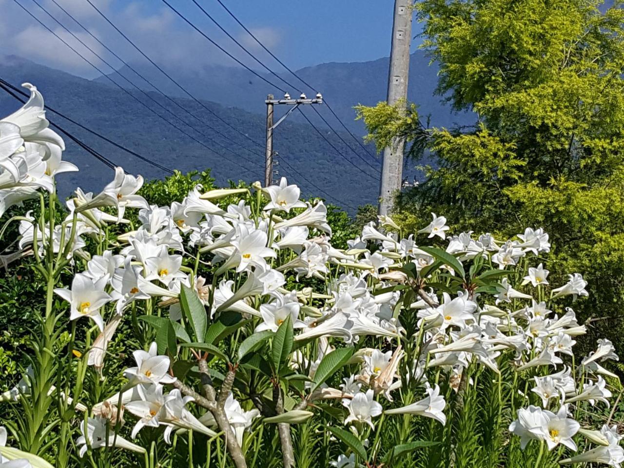 Yi Tian Homestay Fenglin Экстерьер фото